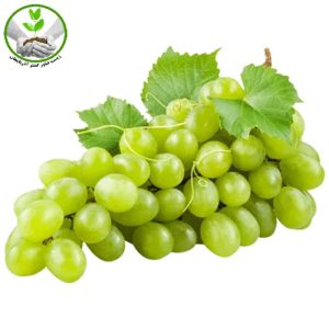 نهال انگور عسگری