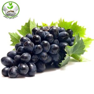 نهال انگور مویز ترکمن