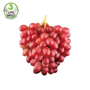 نهال انگور جوین