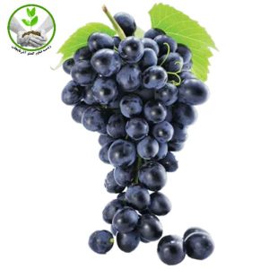 نهال انگور ترکمن 4
